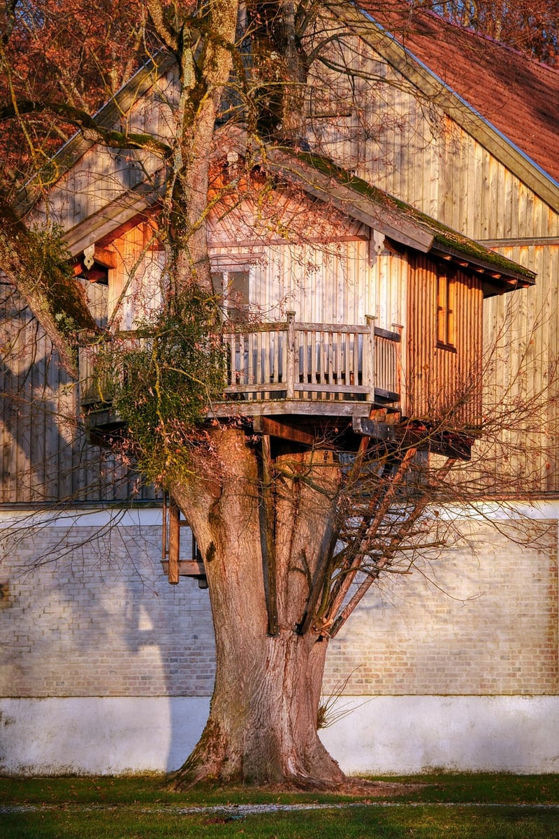 Treehouse Retreats for Honeymoon